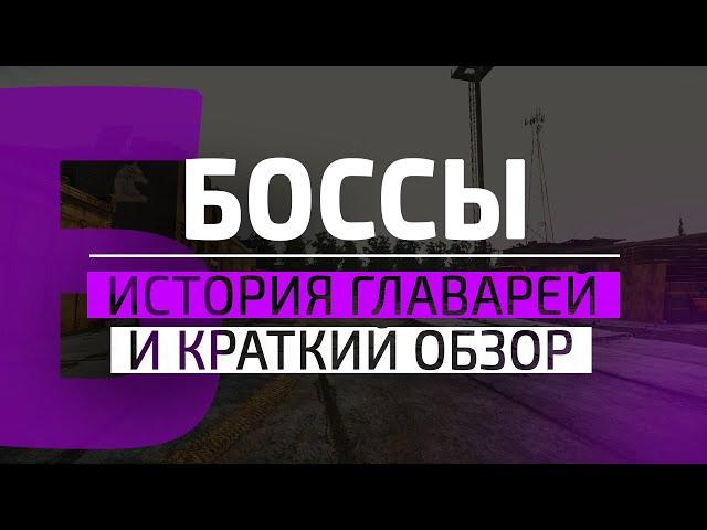 Боссы Escape From Tarkov | История и их особенности