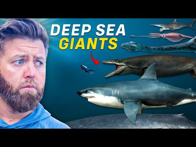 7 Largest Ocean Creatures To Ever Exist