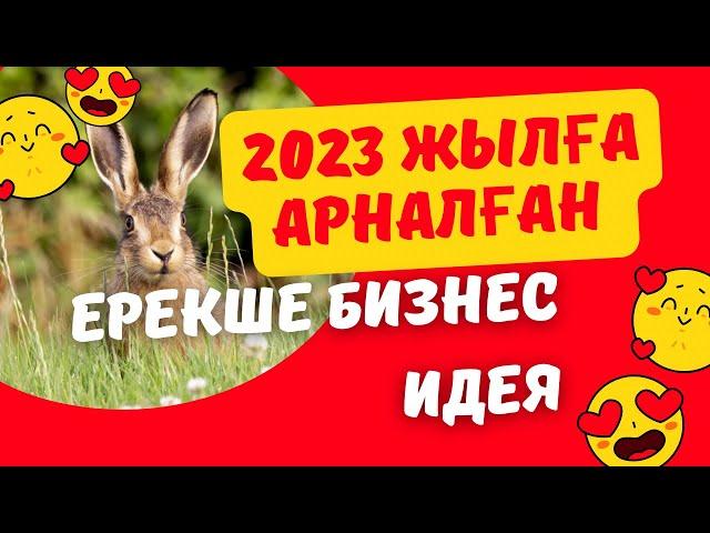 2023 жылға арналған ерекше бизнес идея / Бизнес идея 2023