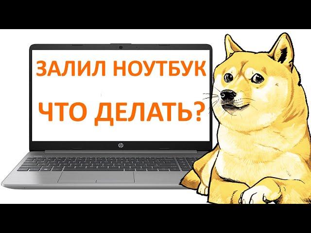 Что делать если залил ноутбук? Помой его ещё раз)