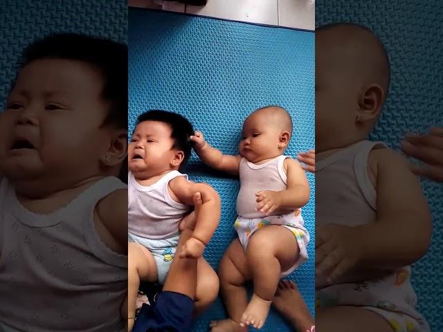 Anak bayi berantem