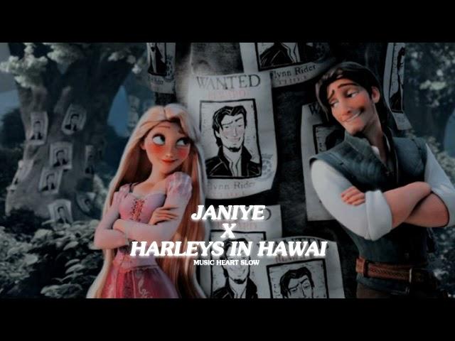 Janiye x Harleys in Hawai (Slowed Reverb) (Music heart Slow)