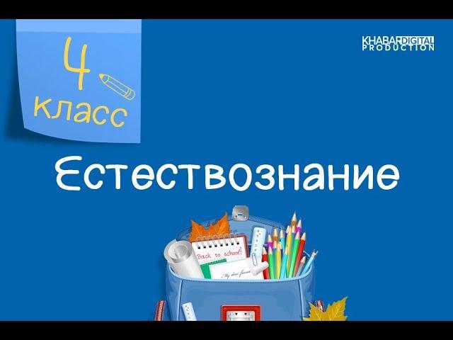 Естествознание. 4 класс. Как перемещается воздух. Какую пользу и вред приносит ветер /14.12.2020/