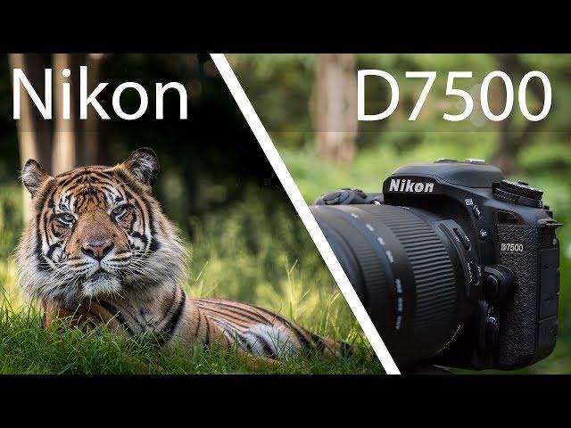 Nikon D7500 Review - Powerful But Not Perfect