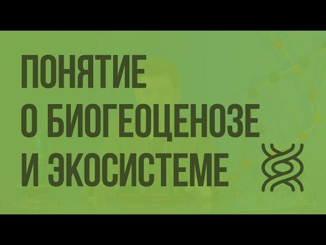 Понятие о биогеоценозе и экосистеме. Видеоурок по биологии 9 класс