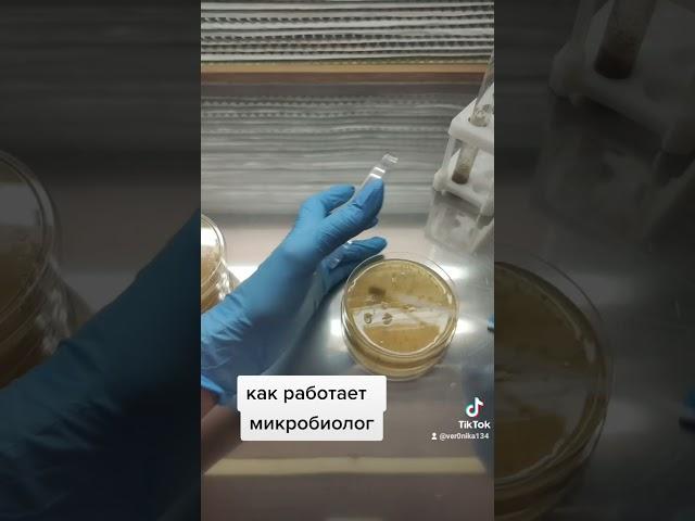 Как работает микробиолог 