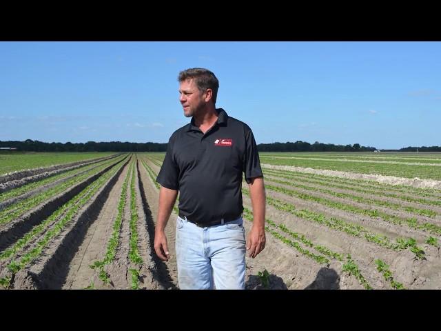 Jones Potato Farm Wins American Vegetable Grower Magazine's 2017 Grower Achievement Award