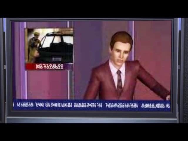 Sims 4 TV Shows - News Channel