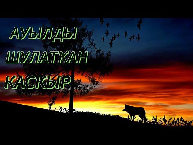 ҚАСҚЫР ТУРАЛЫ МӘЛІМЕТ# Қасқыр# Волк# Аңыз# Қасқыр туралы#