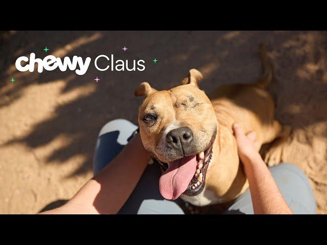 Chewy Claus Makes Adoptions Free For Pets Across The Country