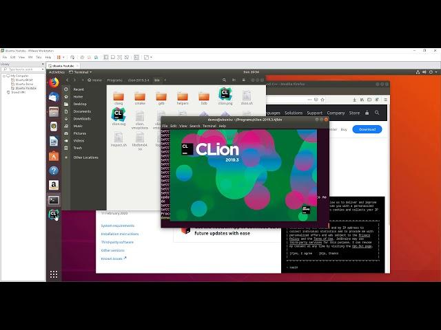 Setting Clion first time to run with CMakelist and Makefile for C and C++