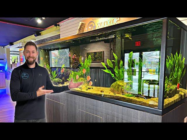 Huge 550 Gallon Discus Aquarium! (Zooxae Tour)