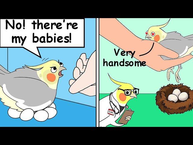 Funny Comics With a Parrot Twist #12 | Parrot Comic Dub