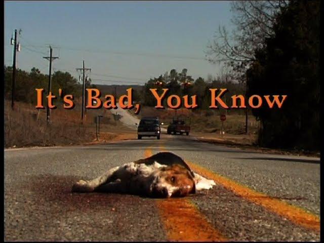 It's Bad you Know, The blues according to Fat Possum ( 1999 )