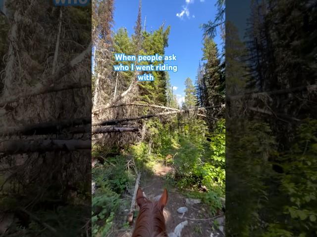 I went by myself #horses #trailriding #trail #solo #mustang #shorts #trending #trendingshorts #crazy
