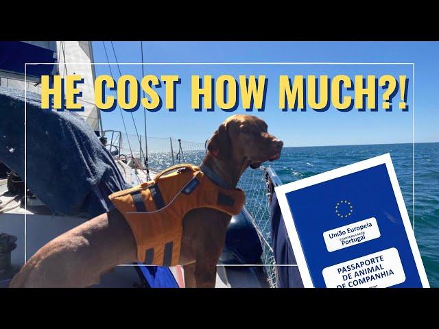 E30 Sailing with our dog (hidden costs, pet passport, red tape)