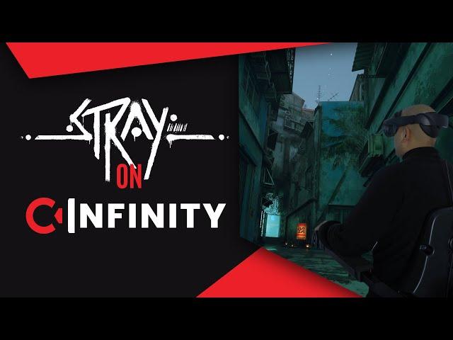 STRAY in VR on the C-Infinity VR Interface