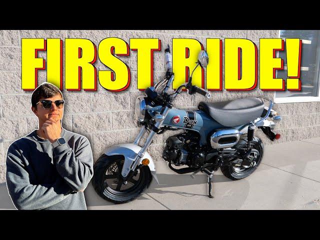 First Ride On The 2025 Honda Dax 125!