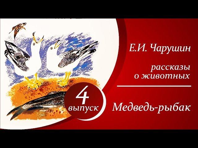 Рассказы о животных для детей | Е. И. Чарушин - Медведь-рыбак  |  Аудиорассказы для детей