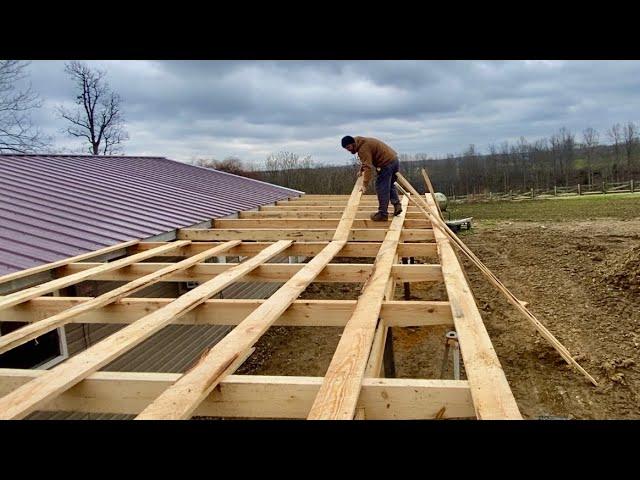 Rafters and Purlins! Lean-to Build (3)