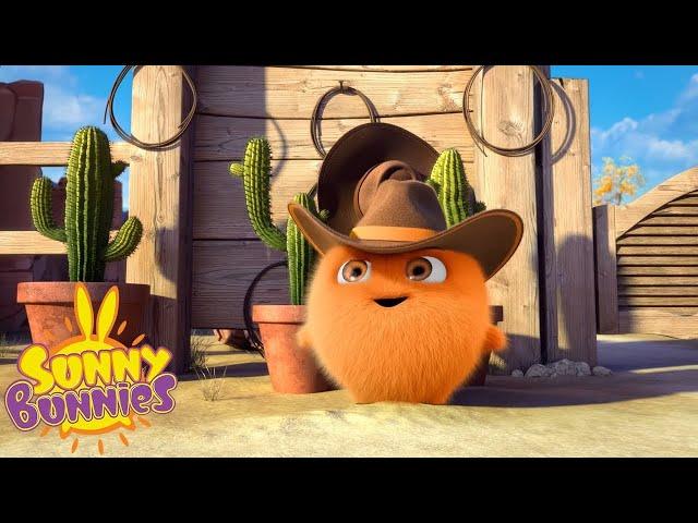 SUNNY BUNNIES | Hopper Wild West Skills ️| Roliga teckningar för barn | WildBrain