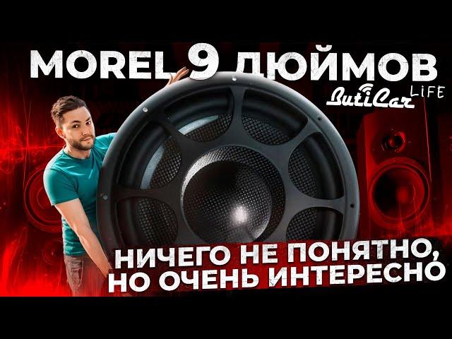 Мидбасы Morel Elate Carbon Supremo 9 дюймов. А зачем?