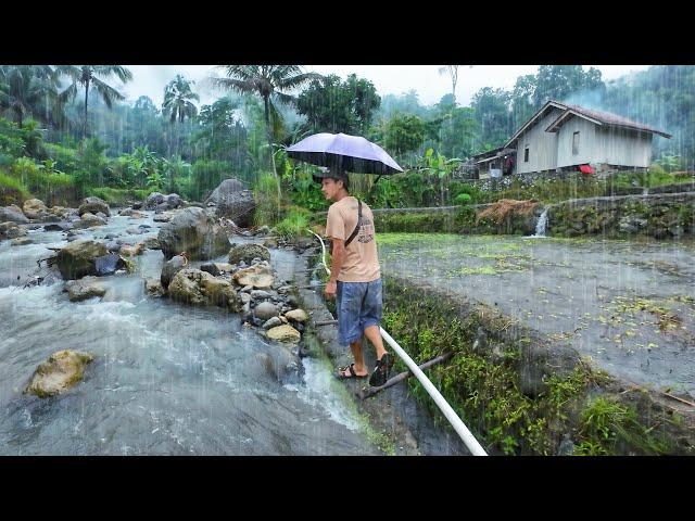 Musim Hujan Di Pedesaan, Nambah Betah dan Bikin Ketagihan, Kampung Indah Lereng Gunung Dekat Sungai