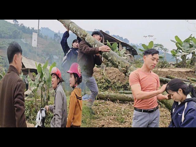 The doctor and the mute mother together prepared trees to make a new house