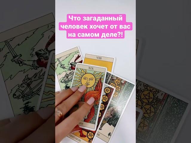 #чувствакомне #tarot #мыслиобомне #какотносится #мысли #love #таро #чтодумает