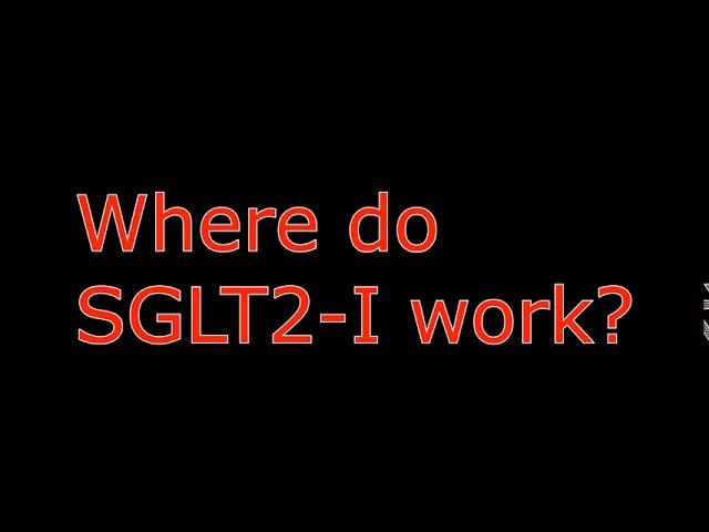 Where do SGLT-I work? ( -flozin) NAPLEX TIPS