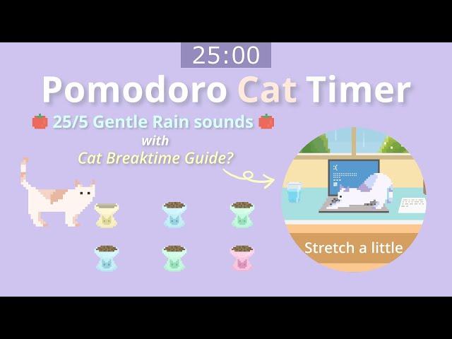 Pomodoro Cat Timer 25/5 ⏰ Let's Focus and Get Homework / Work Done in 1 Hour!  Gentle Rain Sounds