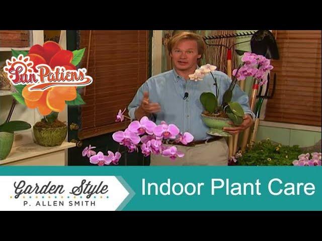 Indoor Plant Care: Orchids & Elephant ears | Garden Style (1003)