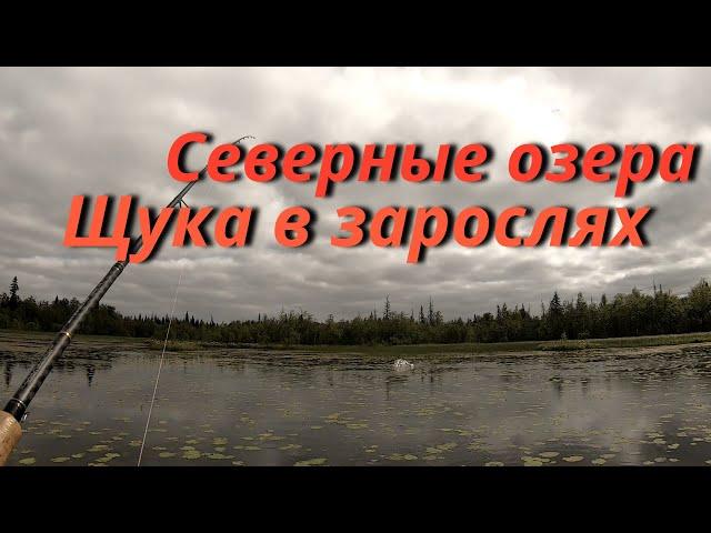 Рыбалка на щуку в зарослях кувшинки. Разведка щучьих мест.Подводная сьемка.Рыбалка 2021.