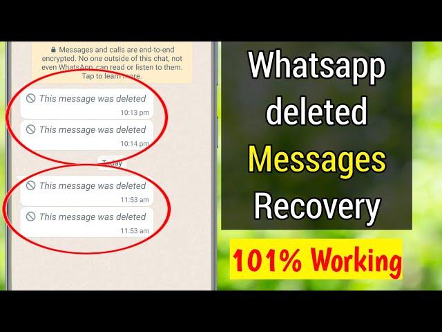 Whatsapp Deleted Messages Recovery | How to See Deleted Messages on Whatsapp