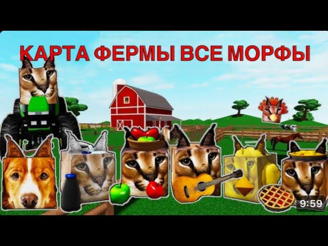 Все флоппы на  карте фермы в игре (Find the morphs floppa (855) в Roblox!