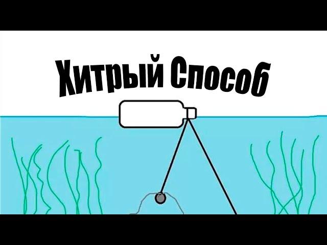 Как быстро узнать есть ли рыба в водоеме?