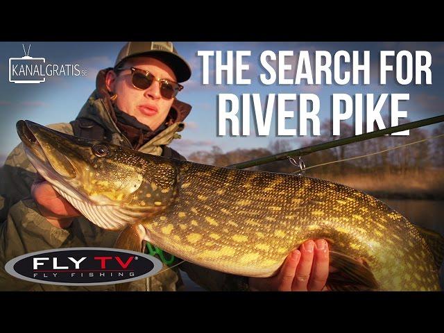 FLY TV - The Search for River Pike