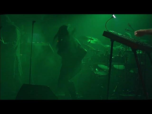 Botanist - Aristolochia [Official Music Video]