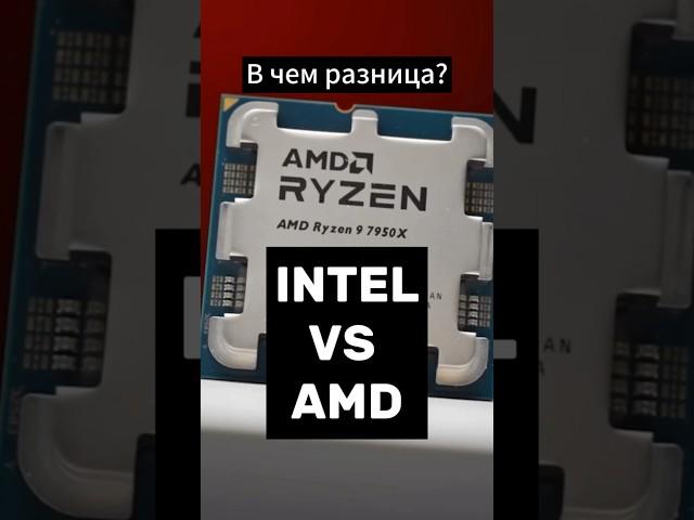 INTEL VS AMD. Разница между процессорами в 2024  #пк #игры #сборкапк #процессор #pc #intel #amd