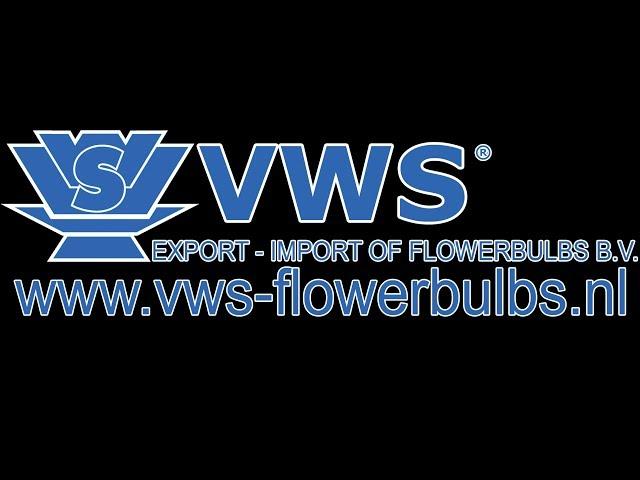 VWS Flowerbulbs - Company movie