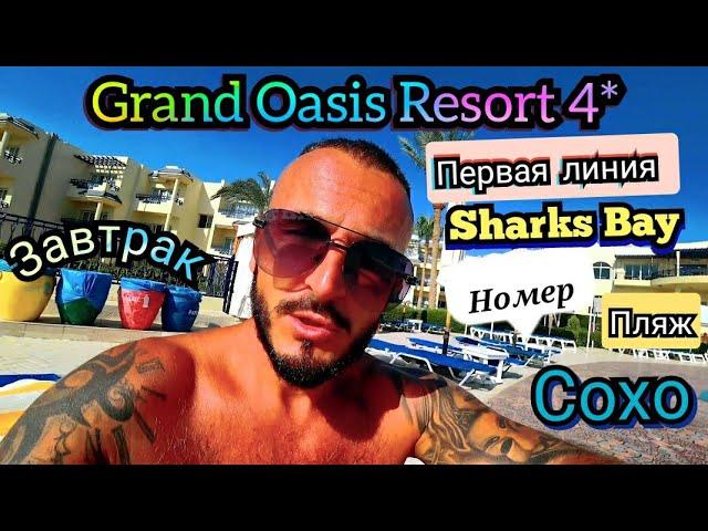 Египет  Grand Oasis Resort 4* Сохо  Sharks Bay Заселение Номер Завтрак Территория Пляж