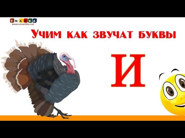 Алфавит русский Учим Буквы и Звуки с Кругляшиком - Буква И