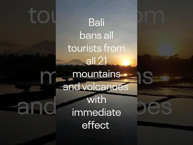 Bali bans all tourists #bali #travel #shorts #travelinfo