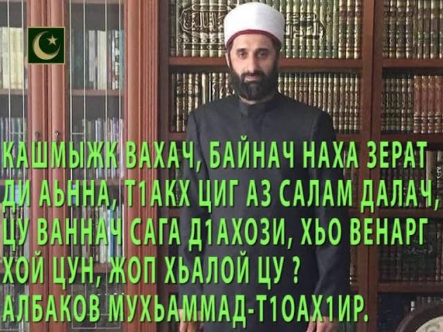 КАШМЫЖК ВАХАЧ, ЦИГ АЗ САЛАМ ДАЛАЧ, ЦАН Д1АХОЗИ? ЖОП ЛОЙ ЦАР? - АЛБАКОВ МУХЬАММАД-Т1ОАХ1ИР.