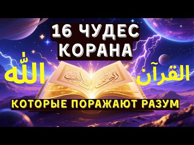 16 Incredible Miracles of the Quran Confirmed by Science!