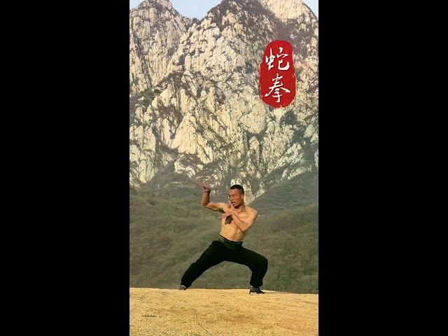 #Martial Arts Dragon Fist Snake Fist# Feel the charm of Chinese martial arts #One minute on stage t