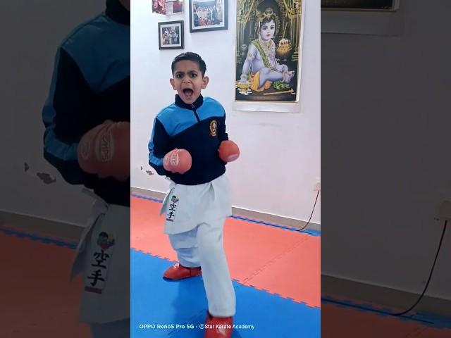 Form Is Temporary But Skill Is Permanent  #shorts #youtubeshorts #karate #punch #viral #fight