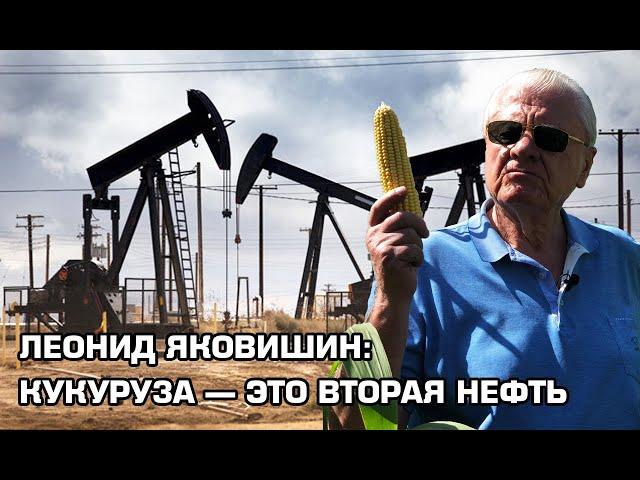 Леонид Яковишин: Кукуруза — это вторая нефть | Latifundist