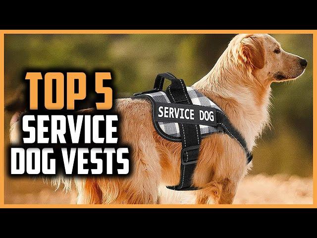 Top 5 Best Service Dog Vests of 2024