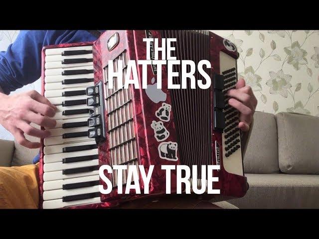 The Hatters - Stay True ( Accordion cover ) | Шляпники - Стэй Тру ( аккордеон кавер )